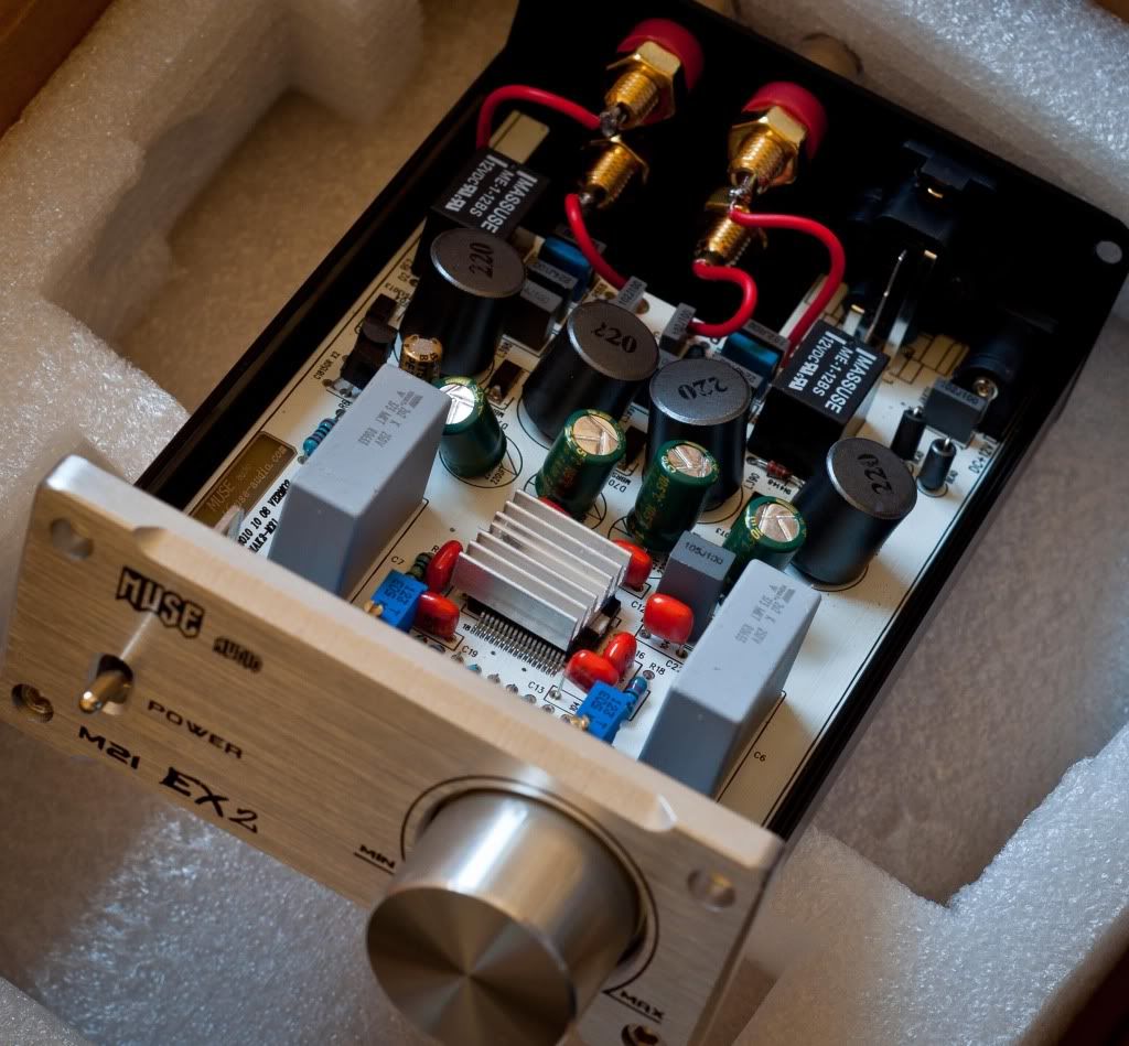 MUSE M20 EX2 TA2020 T-Amp Mini Stereo Amplifier 20WX2